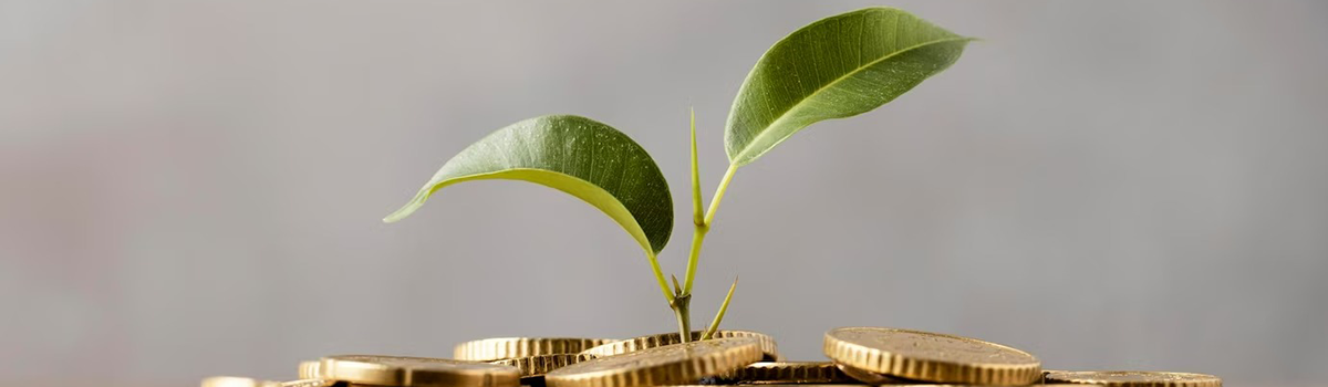 hummers asset management